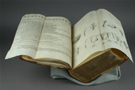 Genera Plantarum Before Treatment